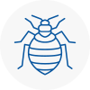 Bed Bug Extermination In Silsden